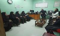 40% Treatment Success Rate Achieved at Zanjan Infertility Center with Government Subsidized Tariffs